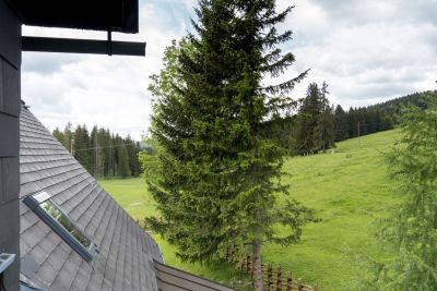 felix bacher hu  tte sommeralm